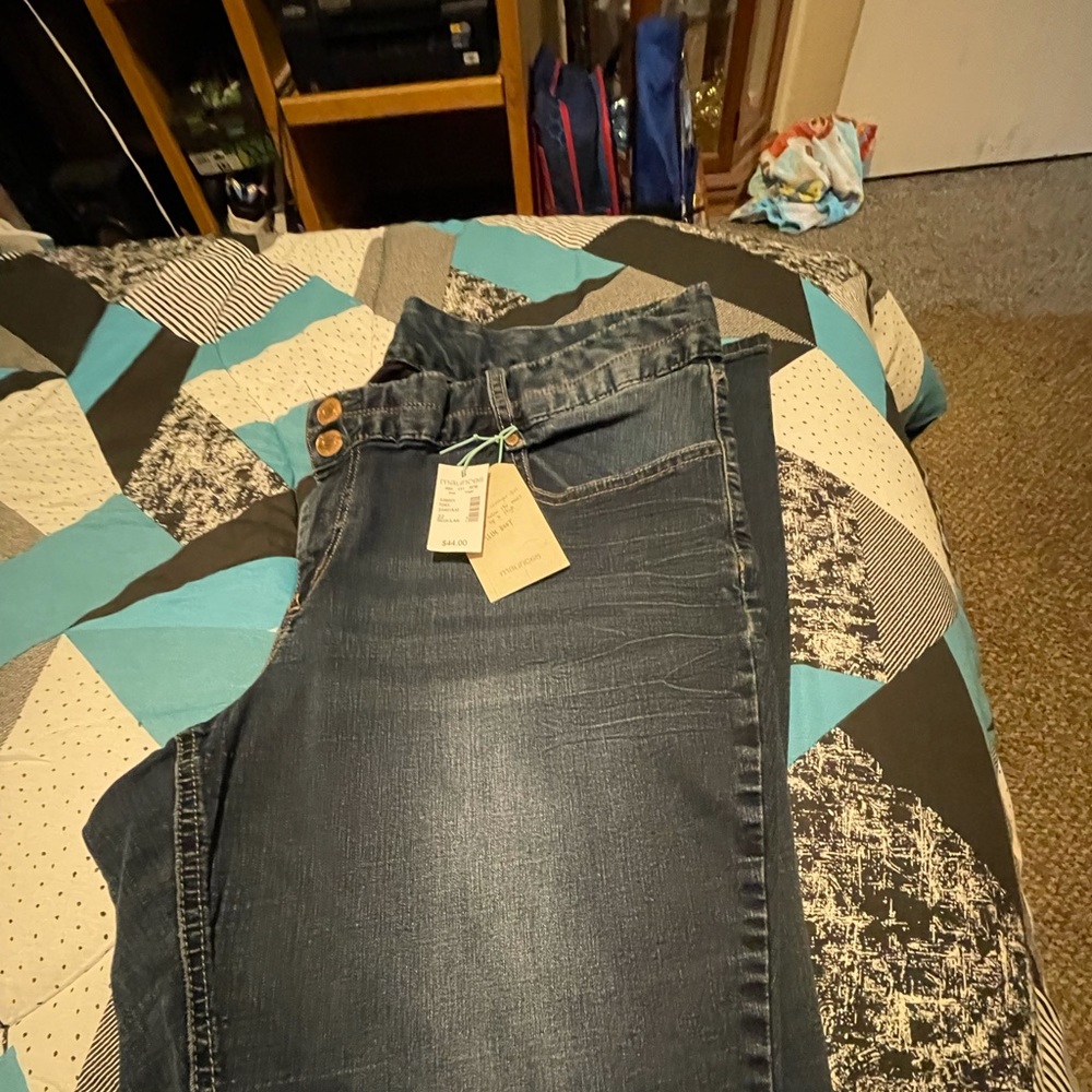 Women’s plus size jeggins jeans